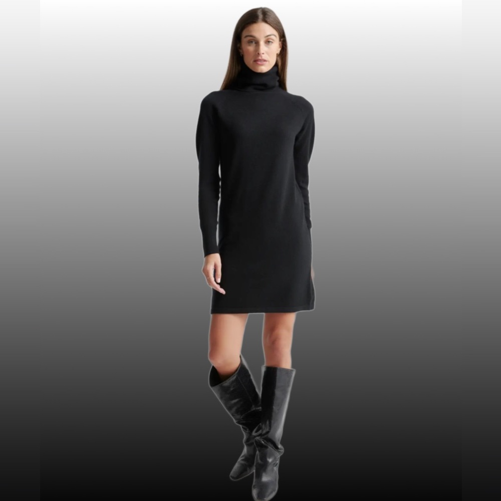 Quince cashmere sweater dress
